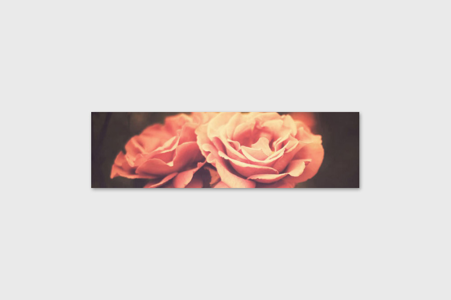 Πίνακας FLOZ-232