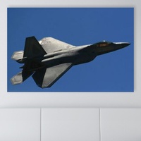 ΑVI-016 Μαχητικό αεροπλάνο Lockheed Martin/Boeing F-22 Raptor σε πτήσηΨηφιακή εκτύπωση σε καμβά. Ο καμβάς είναι υψηλής ποιότητας, ειδικά για ψηφιακή εκτύπωση. Ιδανικός για διακόσμηση εσωτερικών χώρων.Παραλαμβάνετε τον πίνακα με την ψηφιακή εκτύπωση καμβά, τελαρωμένο σε τελάρο από ανθεκτικό ξύλο, στη διάσταση που θέλετε.