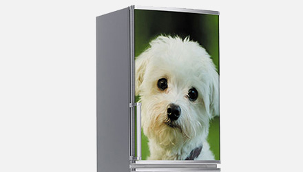 Αυτοκόλλητα ψυγείου - Ζώα
